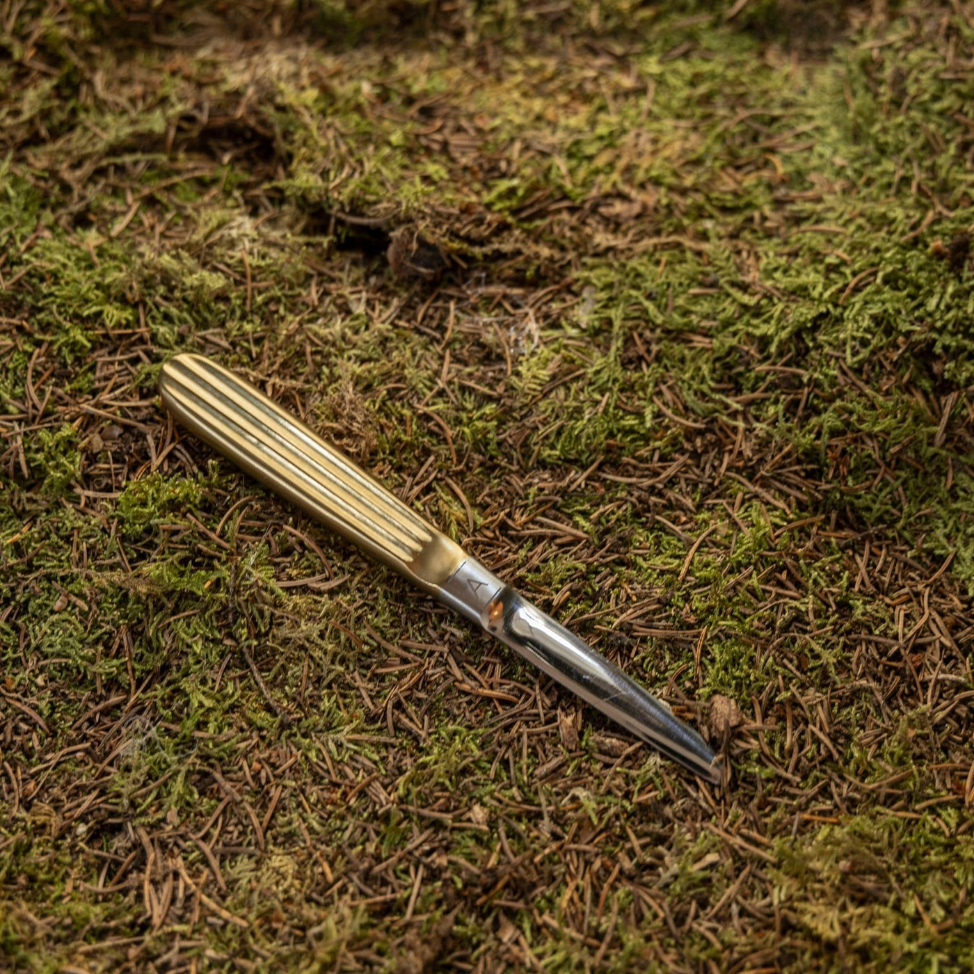 AIMSIR Oyster knife Complete Set of Utensils