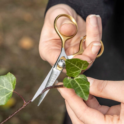 AIMSIR Tweezers Scissors