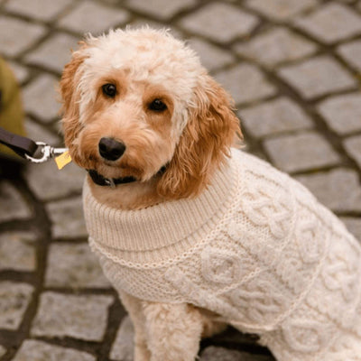 Aran Crafts Pet Accessories Large Dog Aran Sweater - Aran Crafts