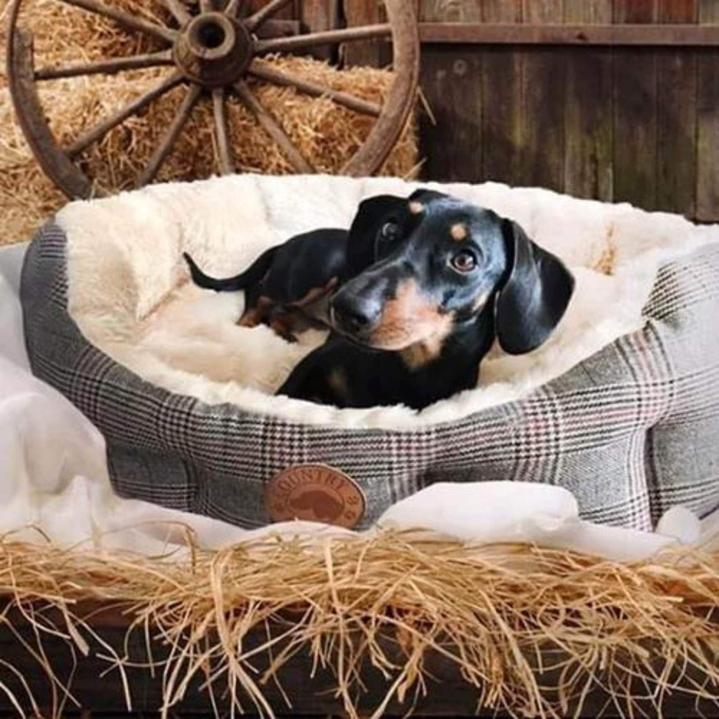 Country Pet Luxury Tweed Dog Bed - Country Pet