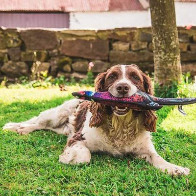 Country Pet Pet Accessories Tuff Pheasant Dog Toy with Squeaker - Country Pet