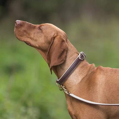 CLIFF Home Luxury Leather Dog Collar in Tan & Cream